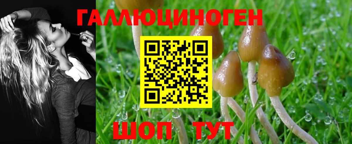 Галлюциногенные грибы Magic Shrooms Губкинский